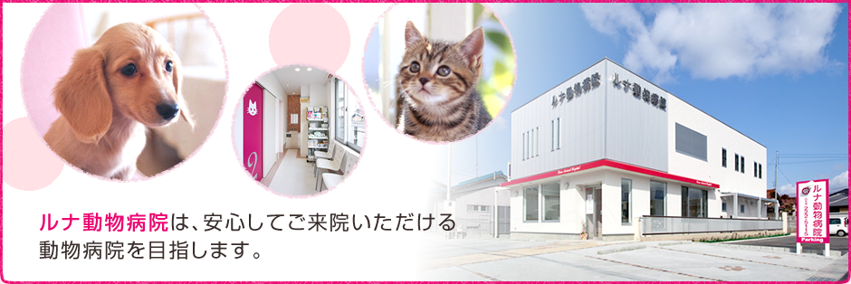ルナ動物病院は、安心してご来院いただける動物病院づくりを目指します
