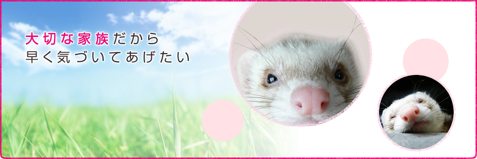 大切な家族だから早く気づいてあげたい