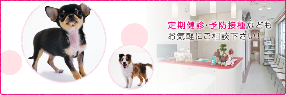 定期健診・予防接種などもお気軽にご相談下さい!