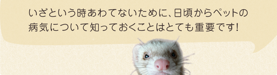 いざという時あわてないために、日頃からペットの病気について知っておくことはとても重要です!
