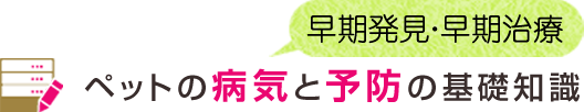 ペットの病気と予防の基礎知識